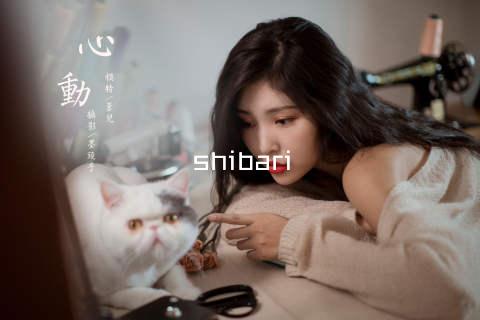 shibari